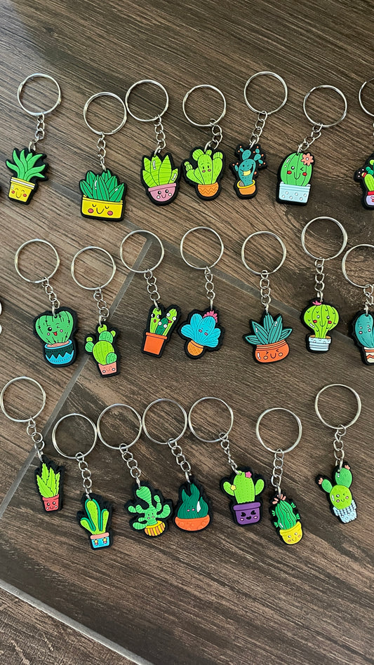 Funky cactus keyring lucky dip