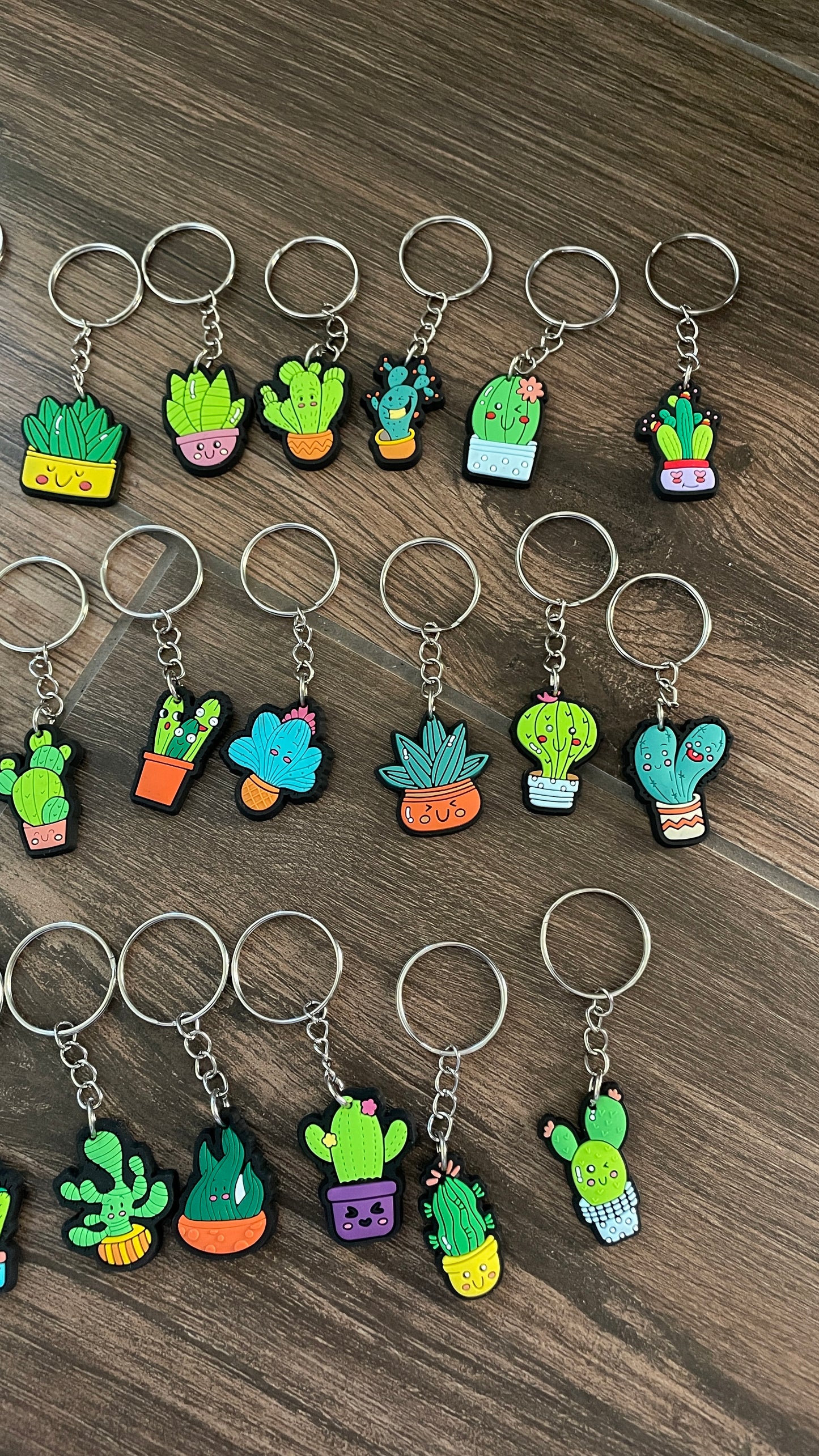 Funky cactus keyring lucky dip