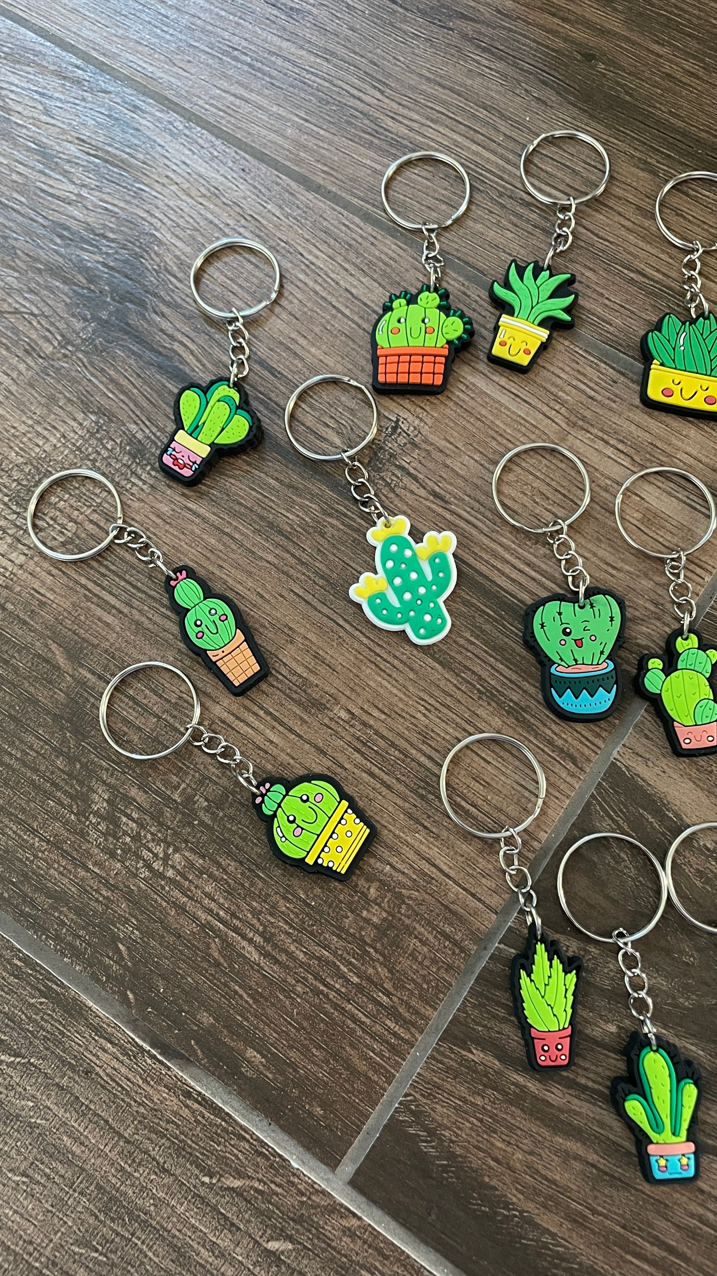 Funky cactus keyring lucky dip