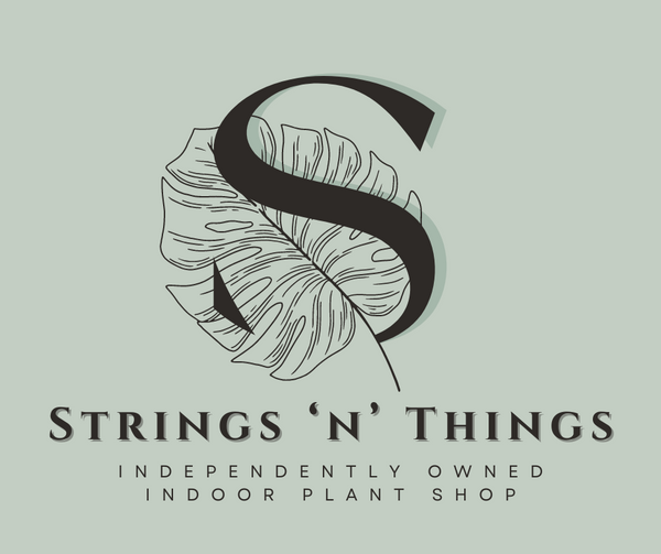 Strings 'n' Things
